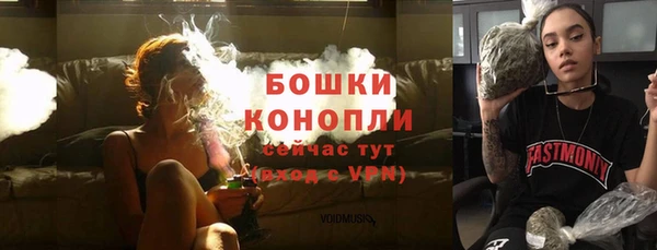 СК Богородск